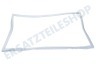 Gorenje Kühlschrank 162630 Türdichtung