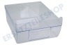 Gorenje Kühlschrank Gemüsefach Transparent