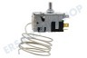 Gorenje Kühlschrank Thermostat 077B6738 Danfoss-13 / -33 Grad