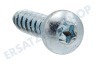Liebherr Kühlschrank Torx-Schraube