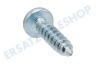 Liebherr Kühlschrank Torx-Schraube