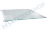 Liebherr Kühlschrank 7276280 Glasplatte komplett