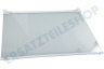 Liebherr Kühlschrank 7276280 Glasplatte komplett