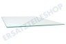 Liebherr Kühlschrank 7271476 Glasplatte
