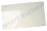 Liebherr Kühlschrank 7271476 Glasplatte