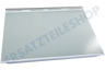 Liebherr Kühlschrank 7276276 Glasplatte komplett mit Leisten
