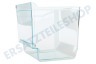 Liebherr Kühlschrank Gemüsefach Transparent, Rechts