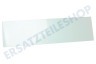 Liebherr Kühlschrank Glasplatte des Türfachs