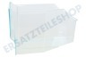 Liebherr Kühlschrank Gemüsefach 235x199x320mm, transparent