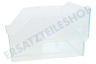 Liebherr Kühlschrank Gemüsefach 235x199x320mm, transparent