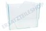 Liebherr Kühlschrank Gemüsefach 235x199x320mm, transparent