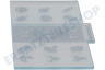 Liebherr Kühlschrank Symbolschild