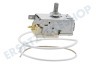 Zanussi Kühlschrank Thermostat K59-L2622