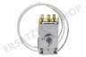 Zanussi Kühlschrank Thermostat K59-L2622