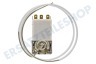Zanussi Kühlschrank Thermostat K59-L2622