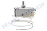 Liebherr Kühlschrank Thermostat