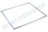 Ignis Kühlschrank Dichtungsgummi 570 x 580mm -weiß-
