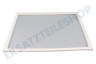 Alternative Kühlschrank Dichtungsgummi Gefrierfach Weiß, 610x520mm