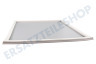 Alternative Kühlschrank Dichtungsgummi Gefrierfach Weiß, 610x520mm