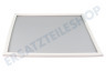 Alternative Kühlschrank Dichtungsgummi Gefrierfach Weiß, 610x520mm