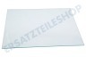 Ariston Kühlschrank Glasplatte
