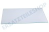 Whirlpool Kühlschrank Glasplatte