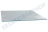 Whirlpool Kühlschrank 481010668655 Glaplatte