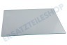 Whirlpool Kühlschrank 481010668655 Glaplatte