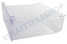 Edesa Kühlschrank Gefrier-Schublade Transparent 410x360x155mm