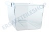 V-zug Kühlschrank Gemüsefach Transparent