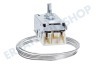 Whirlpool Kühlschrank Thermostat A13 0103