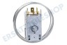 Whirlpool Kühlschrank Thermostat A13 0103