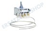 Bauknecht Kühlschrank Thermostat A13 0092K C046 ATEA