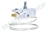 Bauknecht Kühlschrank Thermostat A13 0092K C046 ATEA