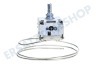 Bauknecht Kühlschrank Thermostat A13 0092K C046 ATEA