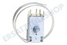 Bauknecht Kühlschrank Thermostat A13 0092K C046 ATEA