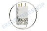 Candy Kühlschrank Thermostat K59L1942500