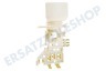 Whirlpool Kühlschrank Thermostat A13 0681R D477