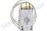 Whirlpool Kühlschrank Thermostat Ranco K59-S2788/500, K59S2788500