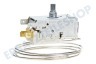 Ranco Kühlschrank Thermostat Ranco K59S1890500 + Lampenfassung ersetzt A13 0584