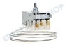 Ranco Kühlschrank Thermostat Ranco K59S1890500 + Lampenfassung ersetzt A13 0584