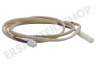 Bauknecht Kühlschrank Sensor Temperatursensor
