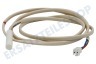 Bauknecht Kühlschrank Sensor Temperatursensor