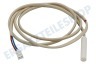 Bauknecht Kühlschrank Sensor Temperatursensor