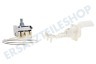 Laden Kühlschrank Thermostat A13 0700R