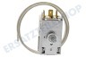 Goddess Kühlschrank Thermostat K59 L2139
