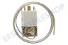 Goddess Kühlschrank Thermostat K59 L2139