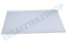 Gorenje Kühlschrank Glasablage