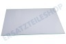 Gorenje Kühlschrank Glasplatte Im Gefrierfach