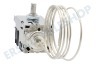 Gorenje Kühlschrank Thermostat 077B6532